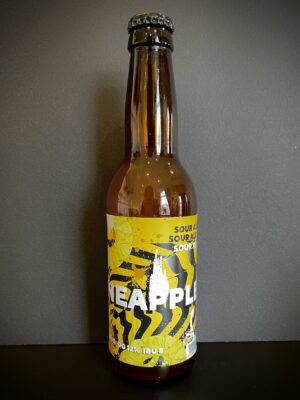 Red Cat Pineapple Sour Ale 330ml