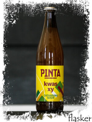 Browar PINTA  Kwas Xy 500 ml