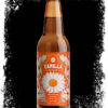 Camilla Blanche 4.8% 330ml