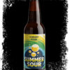 Vibrant Pour Sommer Sour 5% 0.33