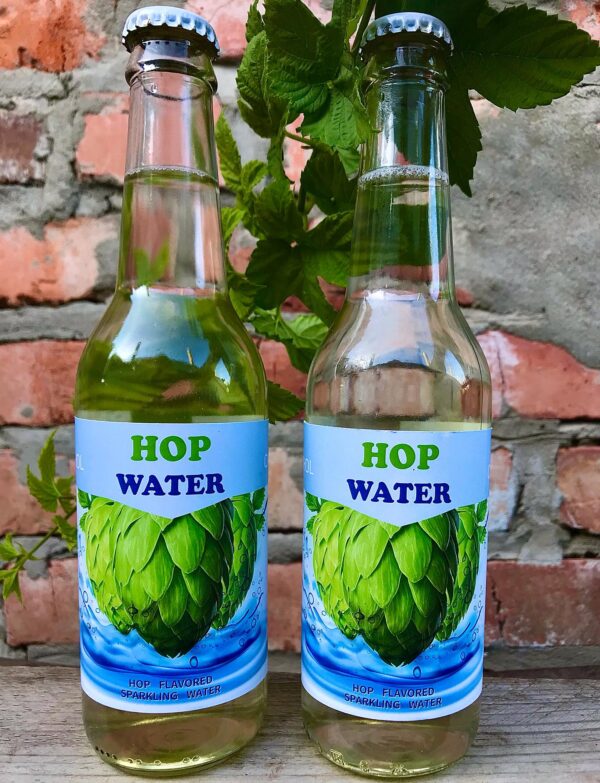 Pastry Mastery Hop Water DDH Citra 0% 330ml - Зображення 2