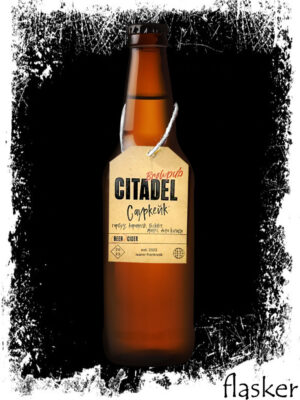 CITADEL Саур Кейк: Гарбуз, Карамель, Бісквіт, Манго, Піна Колада  5.5% 500ml