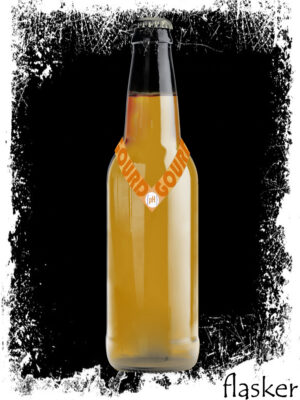 pH GOURD Pumpkin Sour 5.5% 330ml