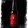 GAVA UKRAINIAN GOLDEN ALE 5.5% 0.33l